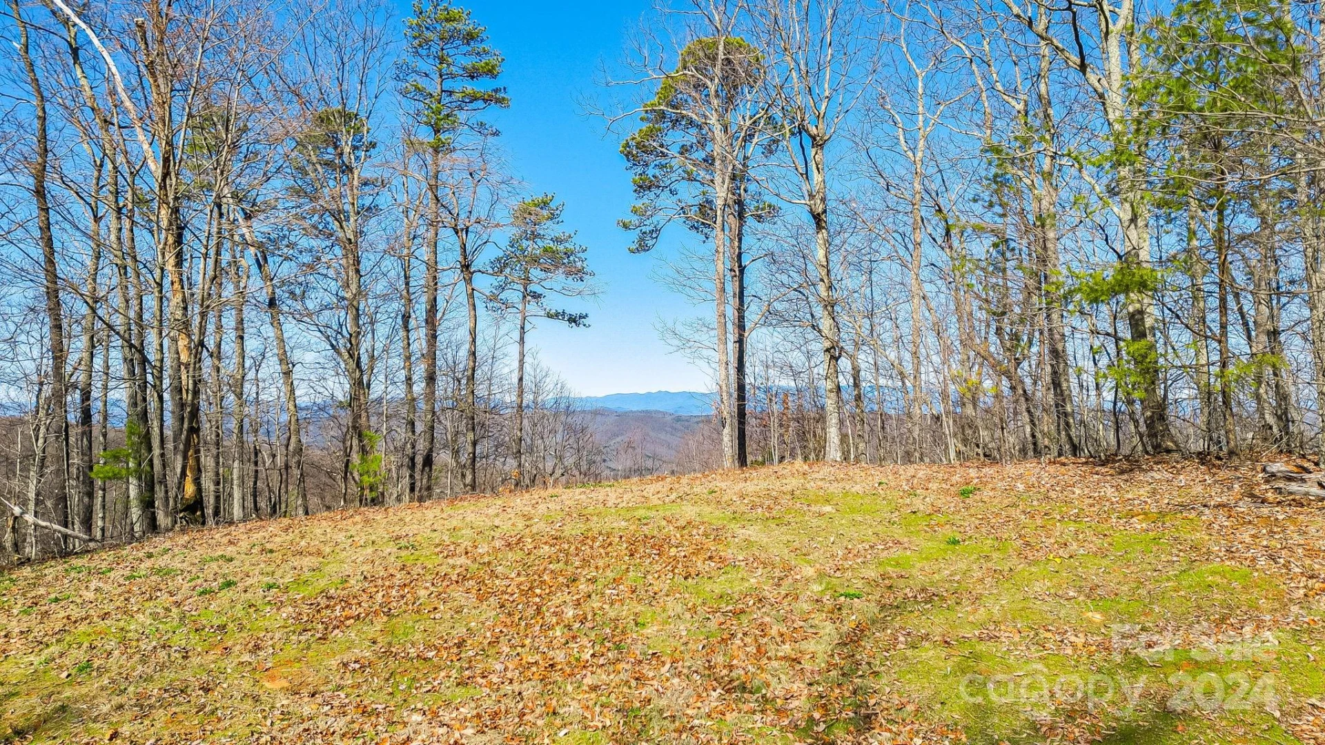 0000 Locust Road - Photo 9