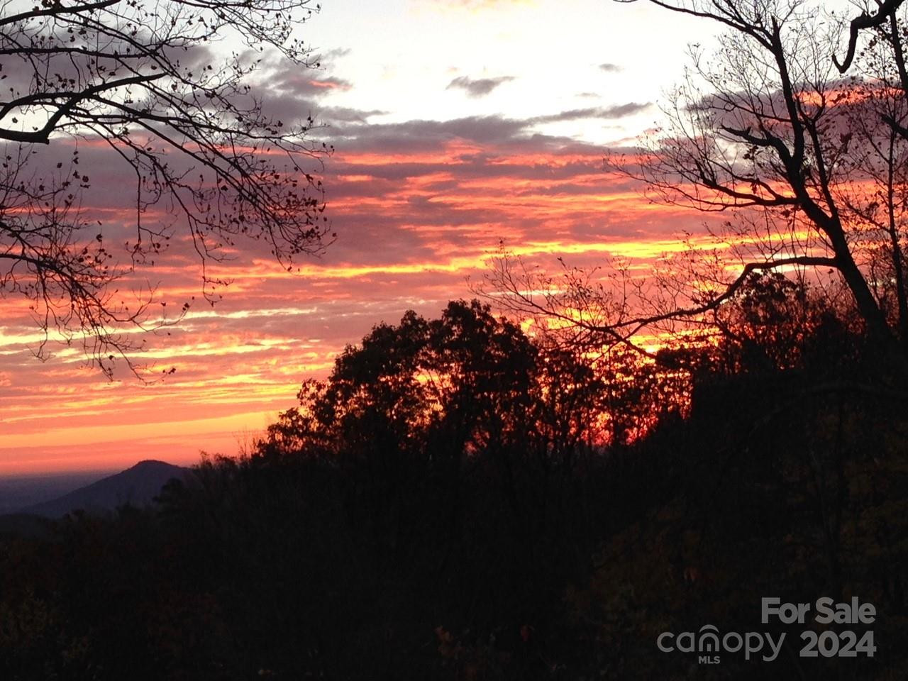 1282 Locust Drive #18 - Photo 2