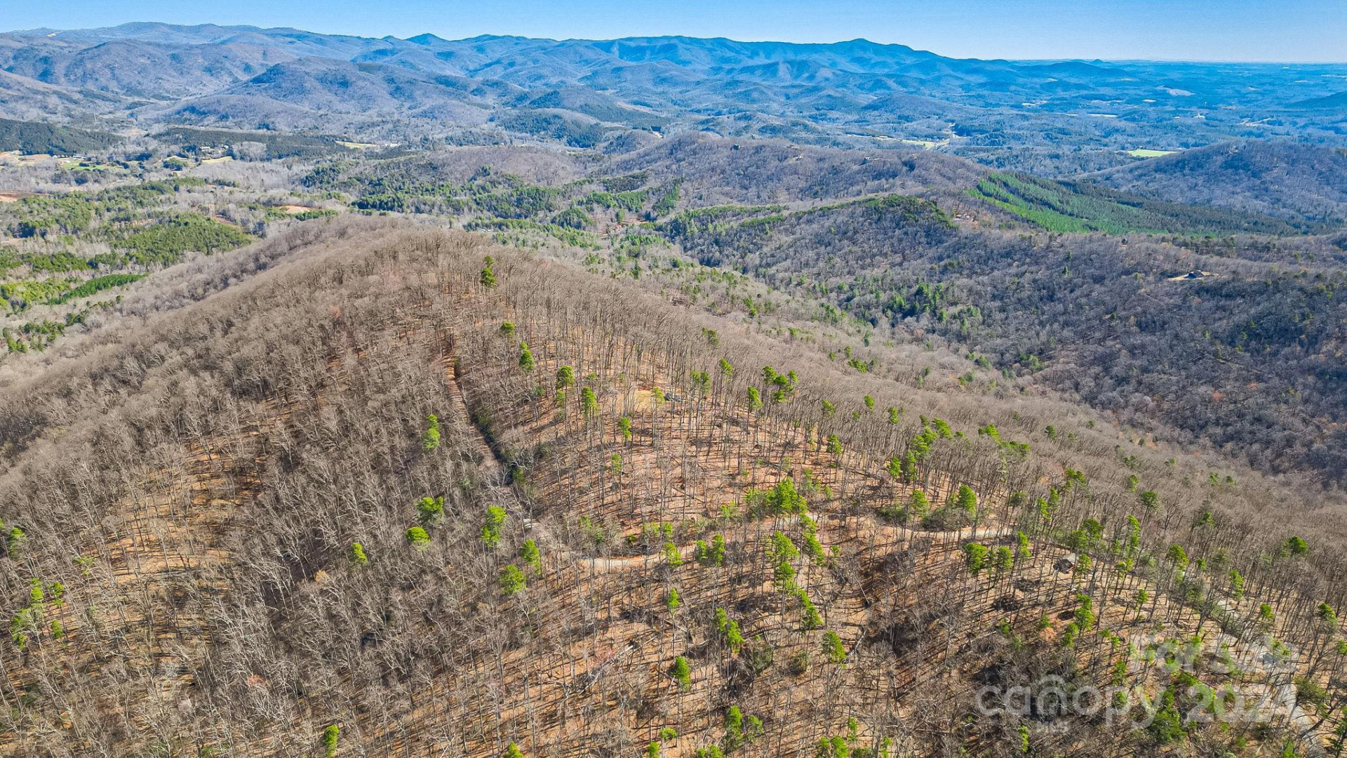 1282 Locust Drive #18 - Photo 14