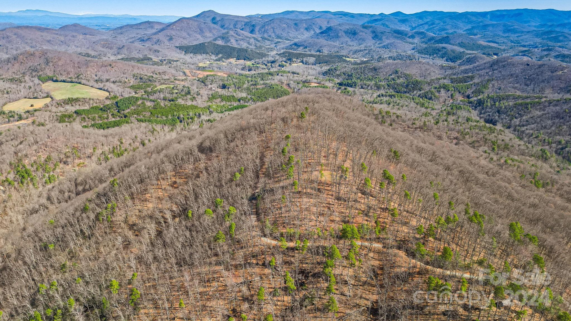 1282 Locust Drive #18 - Photo 15