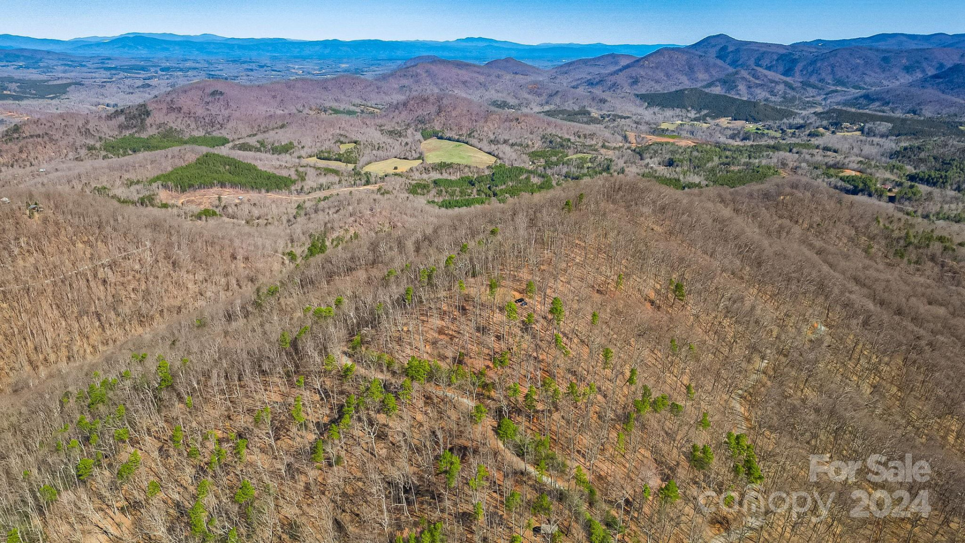 1282 Locust Drive #18 - Photo 16