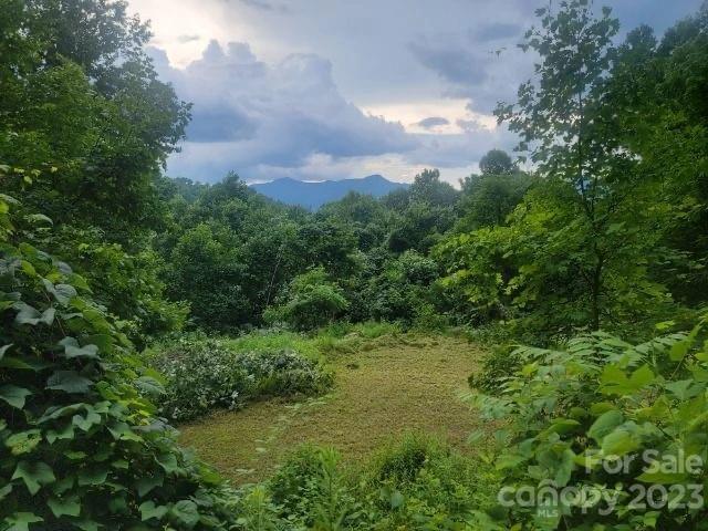 7 Cliff Lane #17 - Photo 3