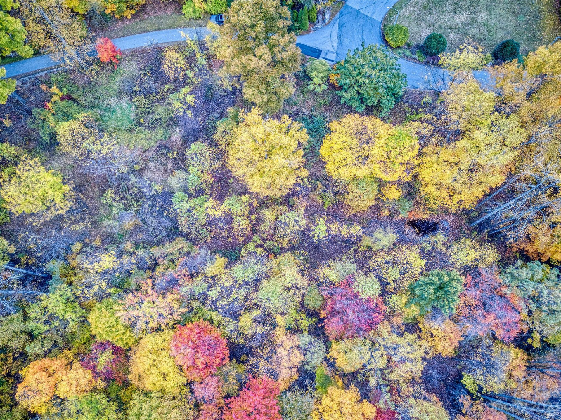 7 Cliff Lane #17 - Photo 4