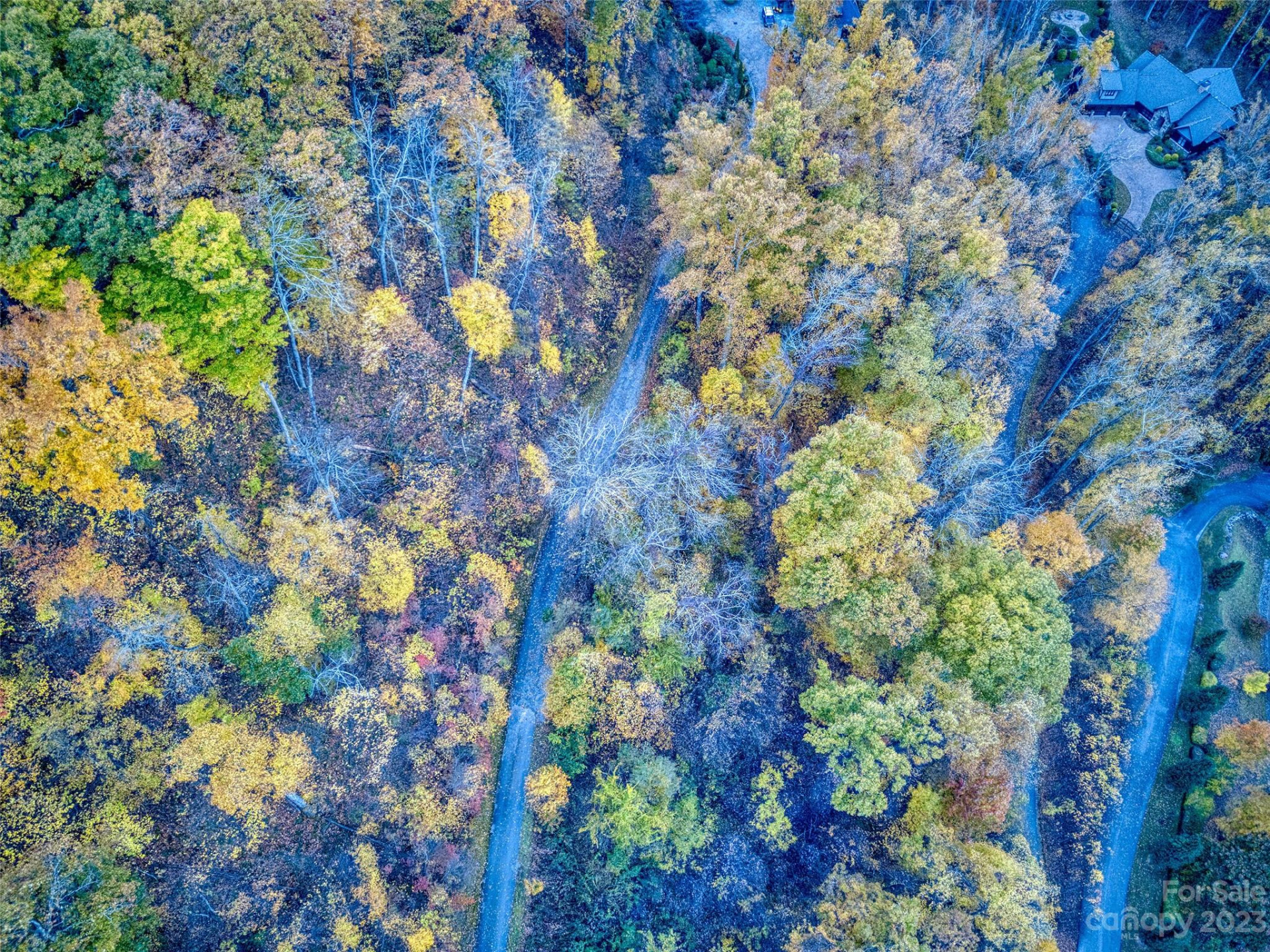 00000000 Fern Brook Drive - Photo 3