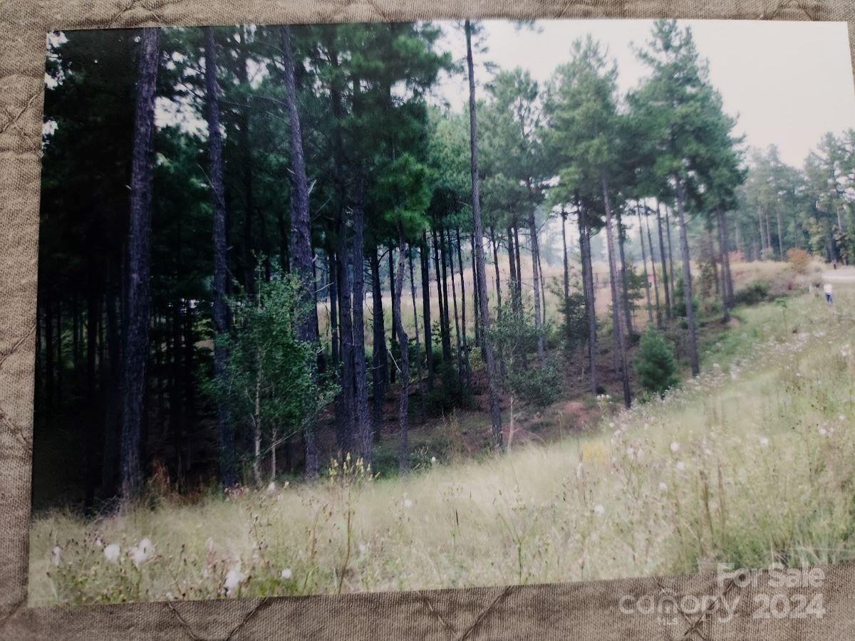 301 Harbor Watch Drive - Photo 11