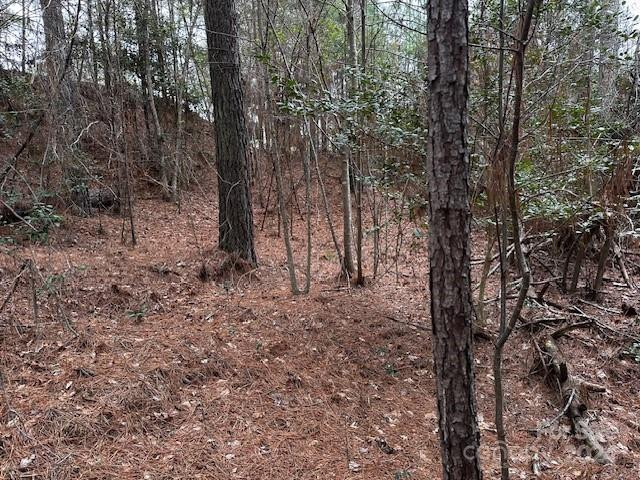 301 Harbor Watch Drive - Photo 12