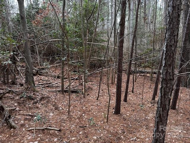 301 Harbor Watch Drive - Photo 13