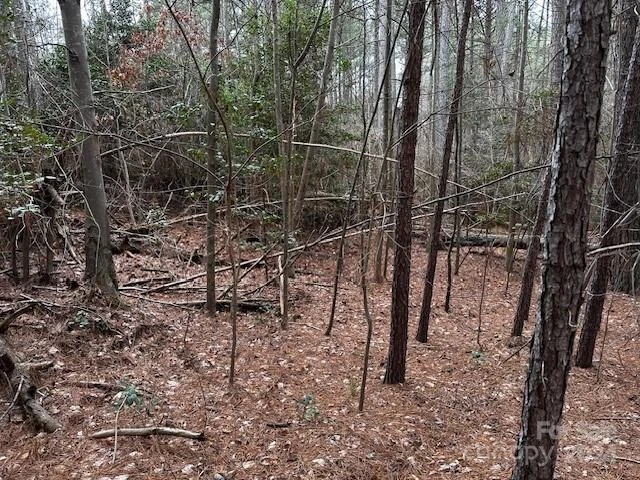 301 Harbor Watch Drive - Photo 13