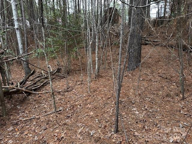 301 Harbor Watch Drive - Photo 15