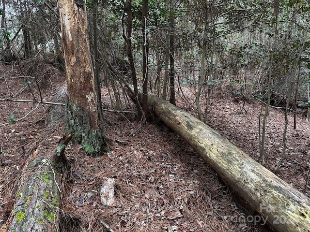 301 Harbor Watch Drive - Photo 16