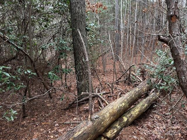 301 Harbor Watch Drive - Photo 17