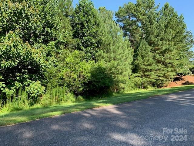 301 Harbor Watch Drive - Photo 5