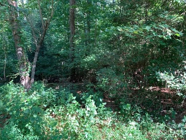 301 Harbor Watch Drive - Photo 6