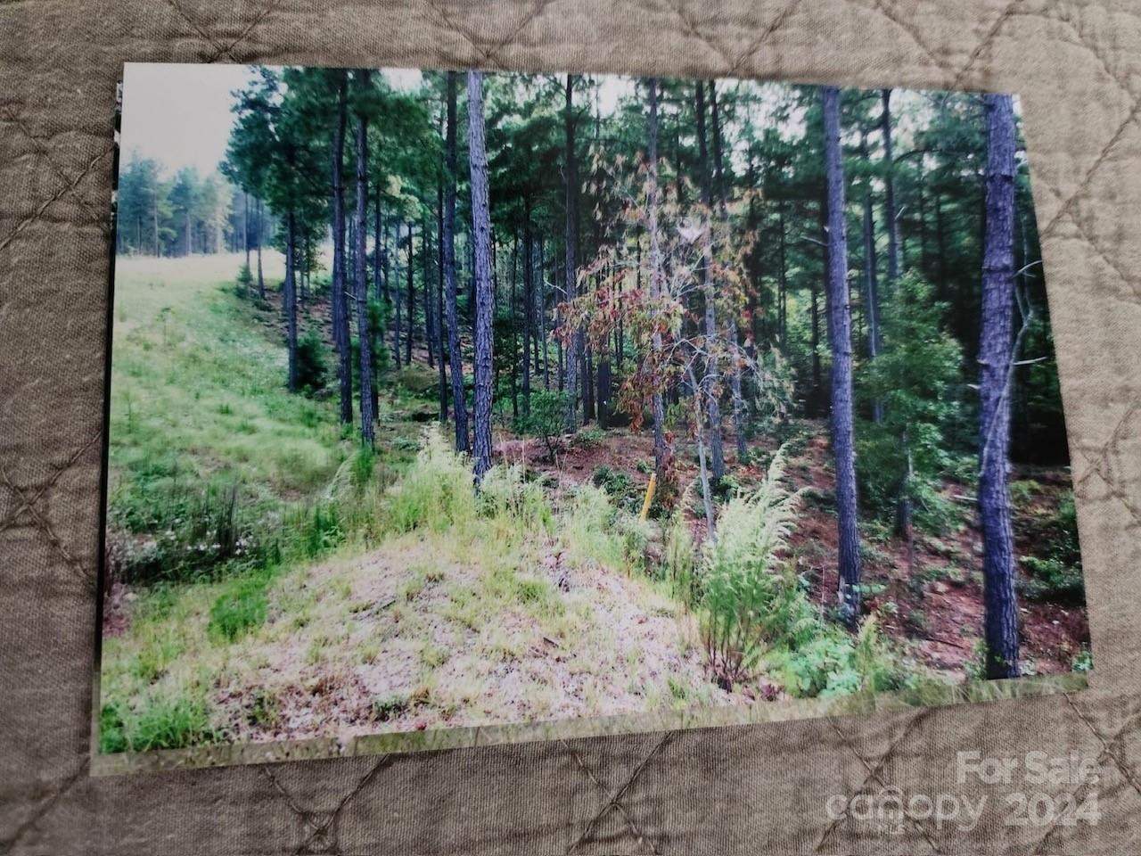 301 Harbor Watch Drive - Photo 10