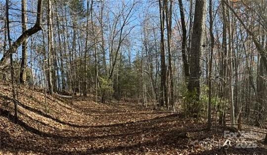 0 Twin Maple Way #5 - Photo 4