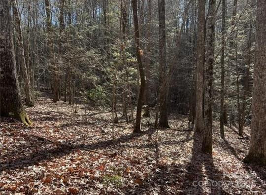 0 Twin Maple Way #5 - Photo 6