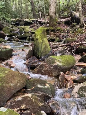 619 Speckled Feather Pass, Sapphire, NC, 28774