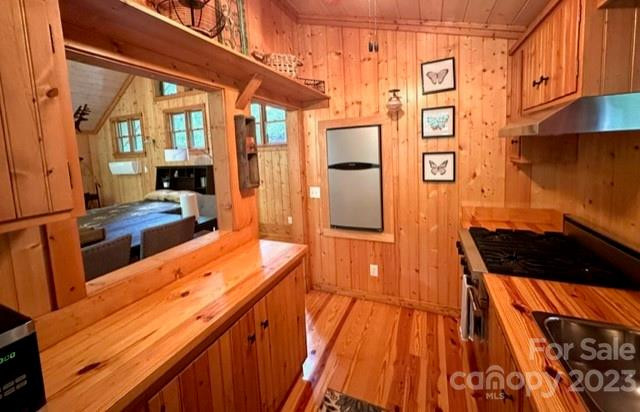 619 Speckled Feather Pass - Photo 11