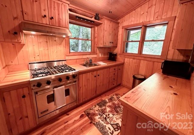 619 Speckled Feather Pass - Photo 12