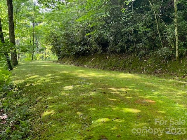 619 Speckled Feather Pass - Photo 20