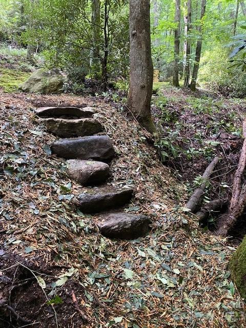 619 Speckled Feather Pass - Photo 21