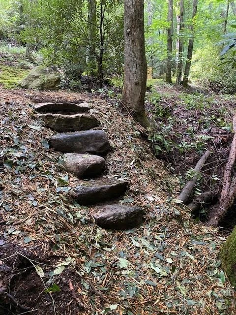 619 Speckled Feather Pass - Photo 21