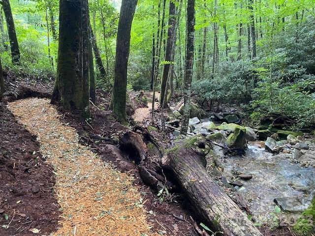 619 Speckled Feather Pass - Photo 22