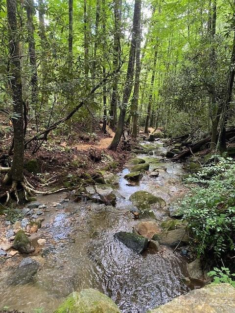 619 Speckled Feather Pass - Photo 23