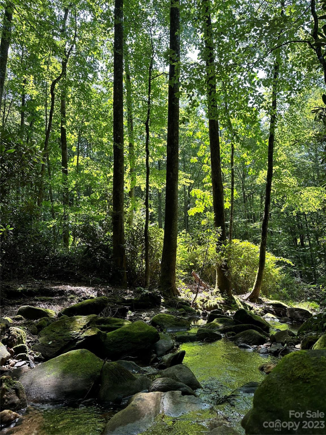 619 Speckled Feather Pass - Photo 24