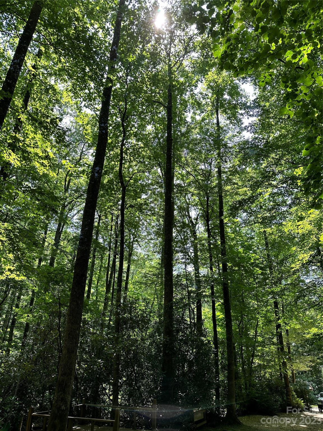 619 Speckled Feather Pass - Photo 25