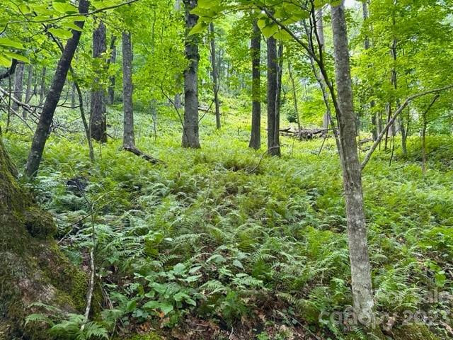 619 Speckled Feather Pass - Photo 26