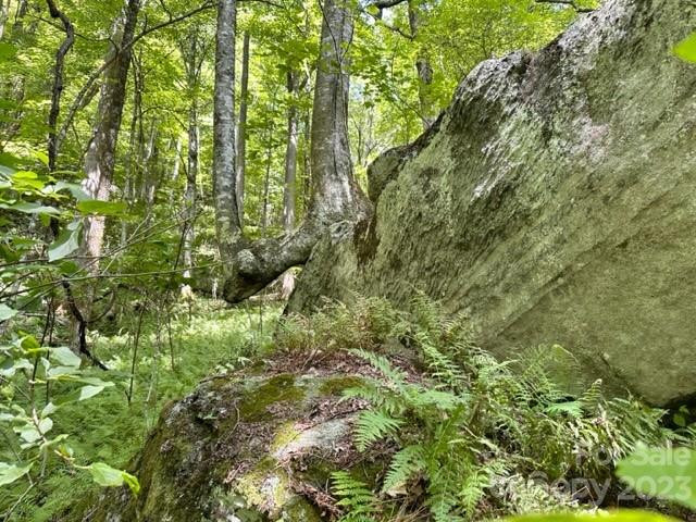 619 Speckled Feather Pass - Photo 27