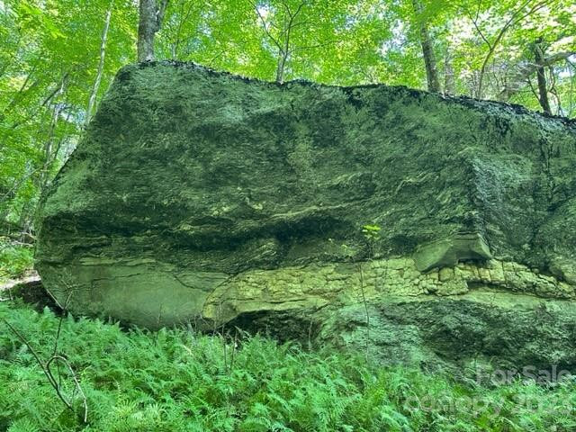 619 Speckled Feather Pass - Photo 28