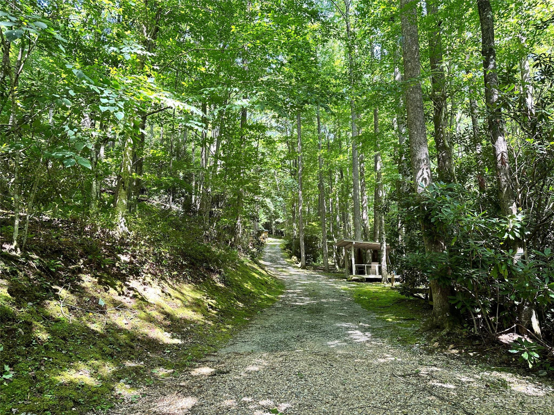 619 Speckled Feather Pass - Photo 30