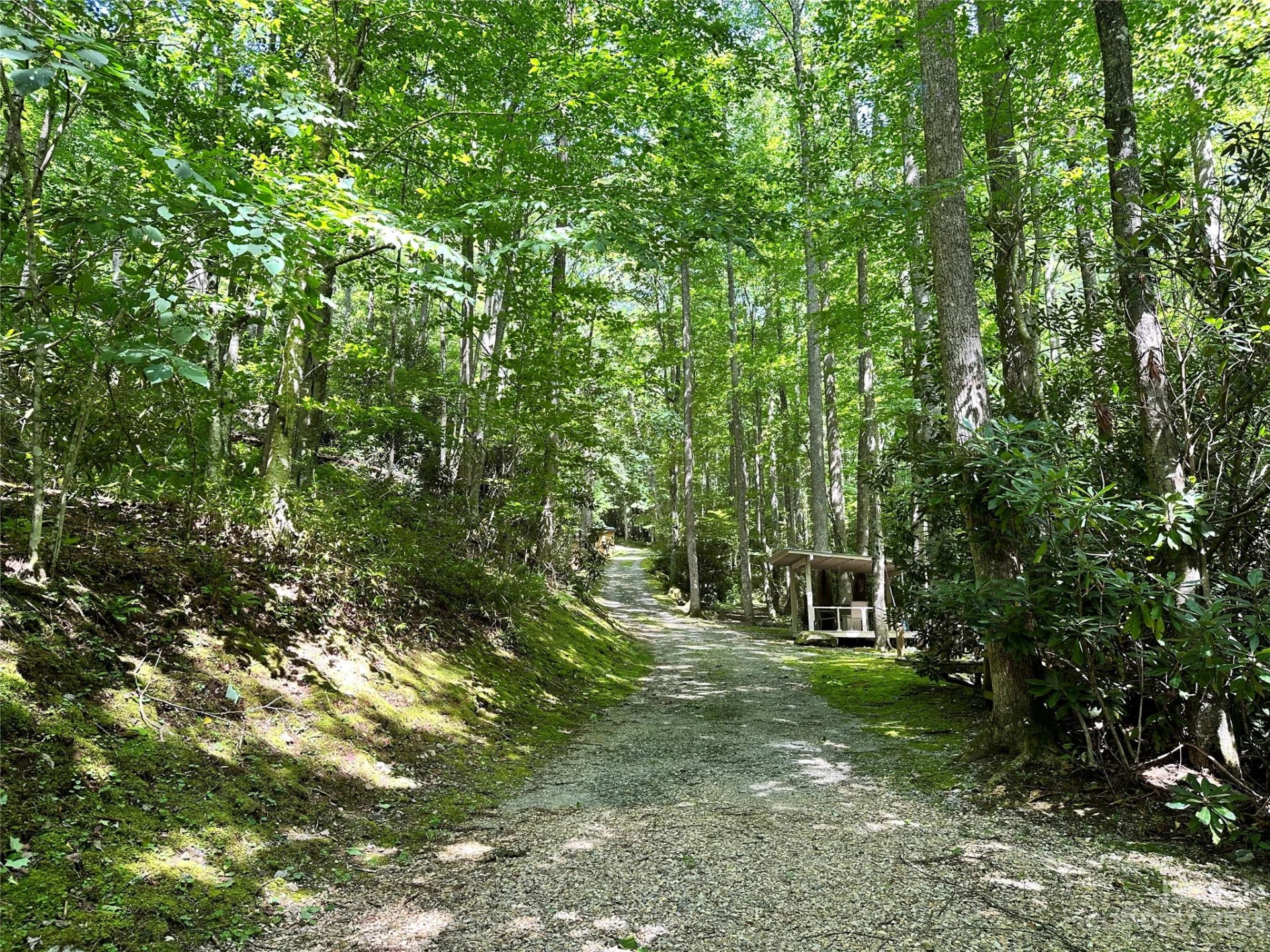 619 Speckled Feather Pass - Photo 30