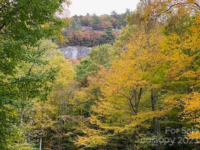 619 Speckled Feather Pass - Photo 32