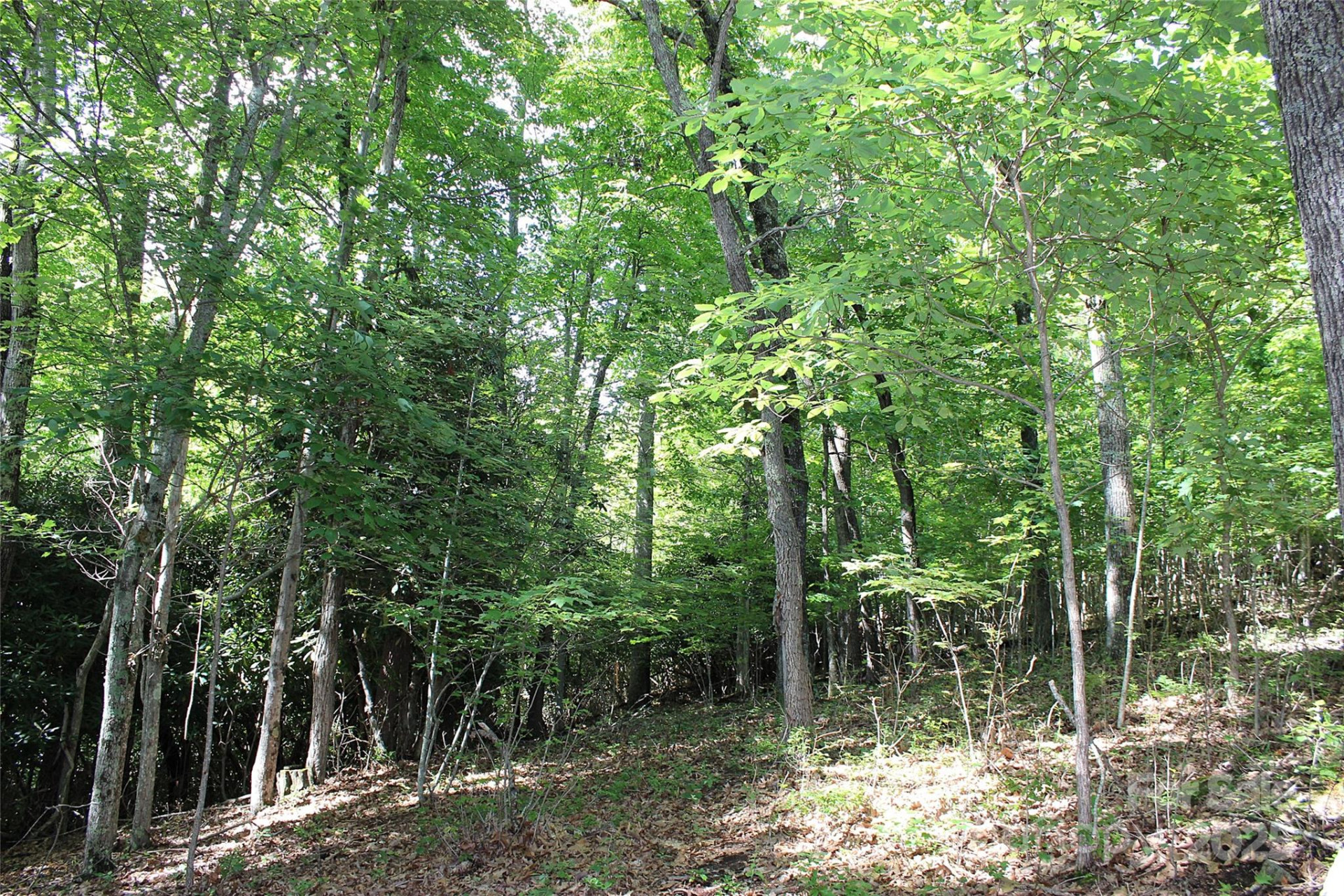 120 Ivywood Lane - Photo 23