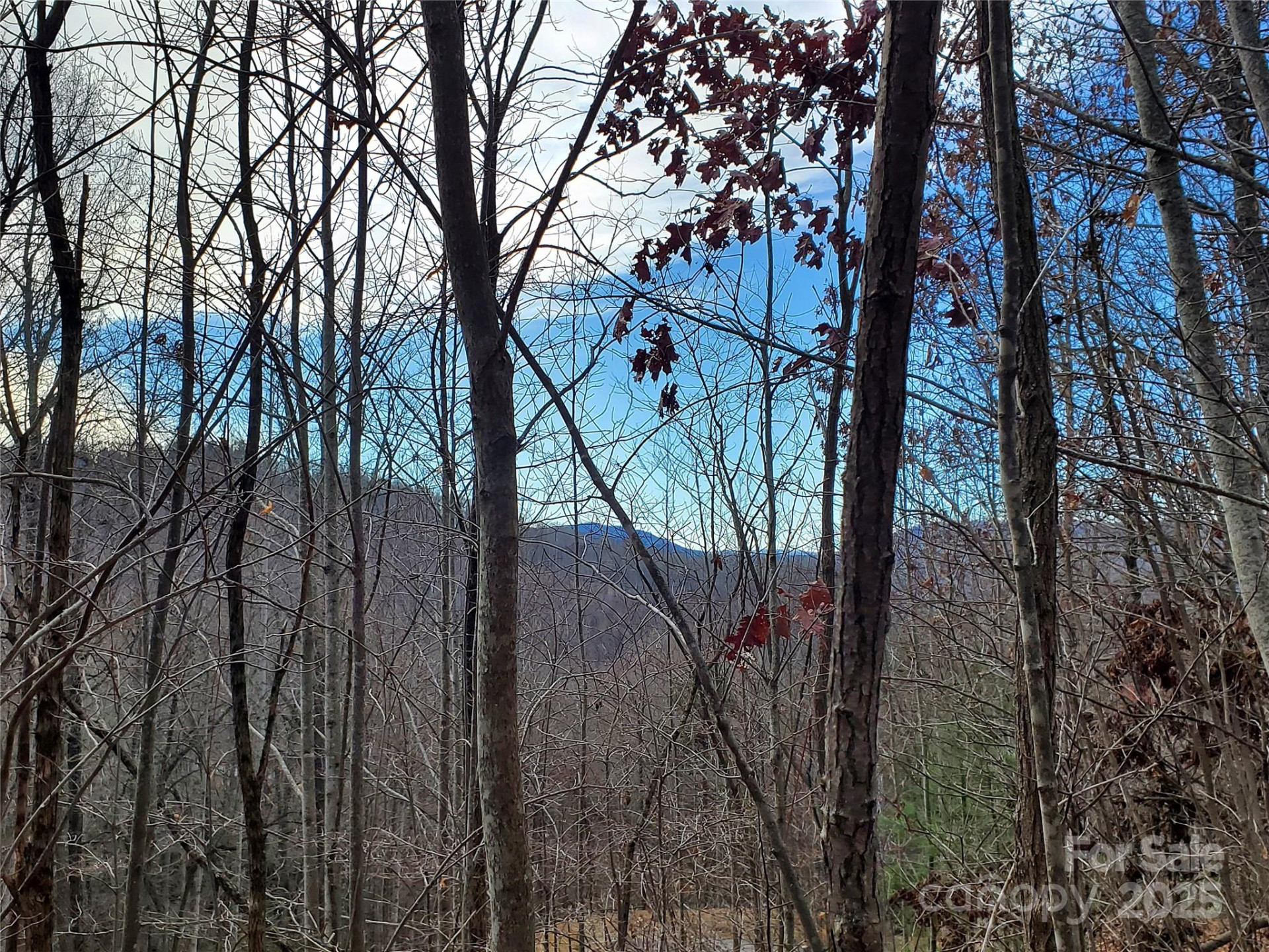 120 Ivywood Lane - Photo 27