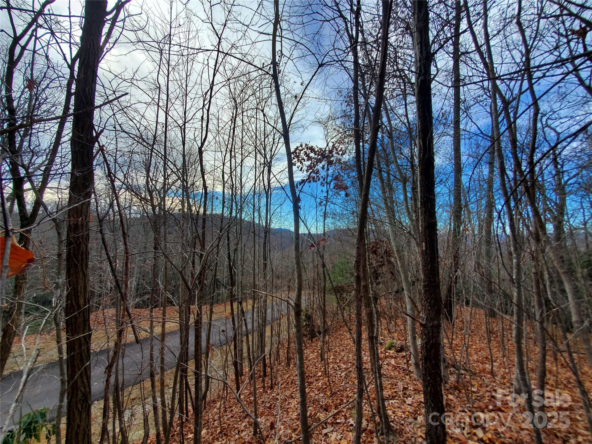 120 Ivywood Lane - Photo 28