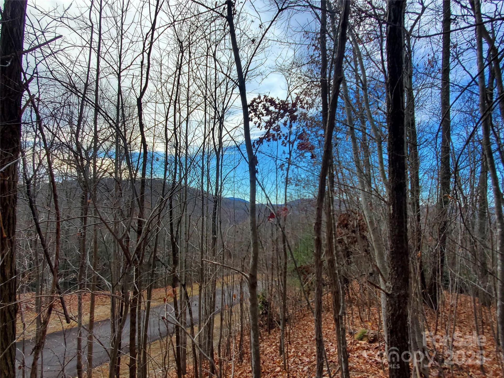 120 Ivywood Lane - Photo 29