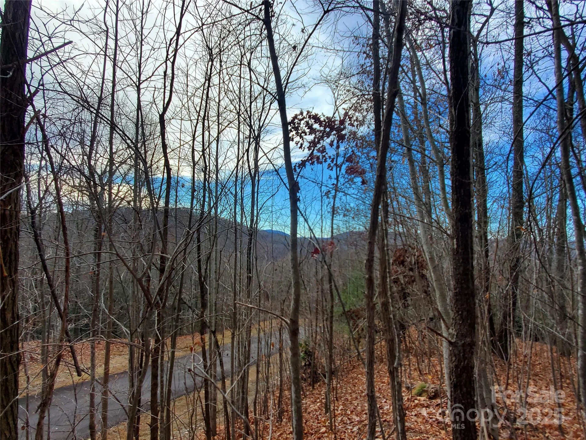 120 Ivywood Lane - Photo 29