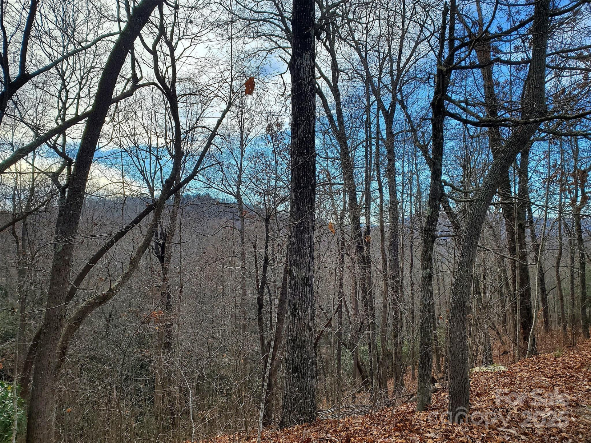 120 Ivywood Lane - Photo 30