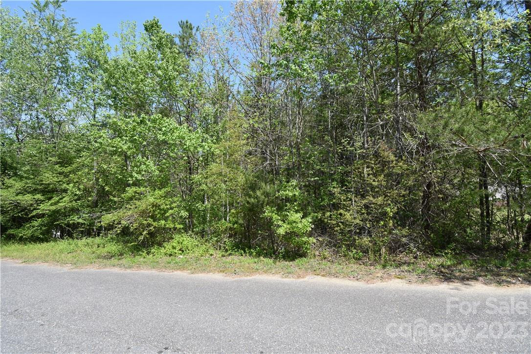 676 Cape Hickory Road #20 - Photo 4