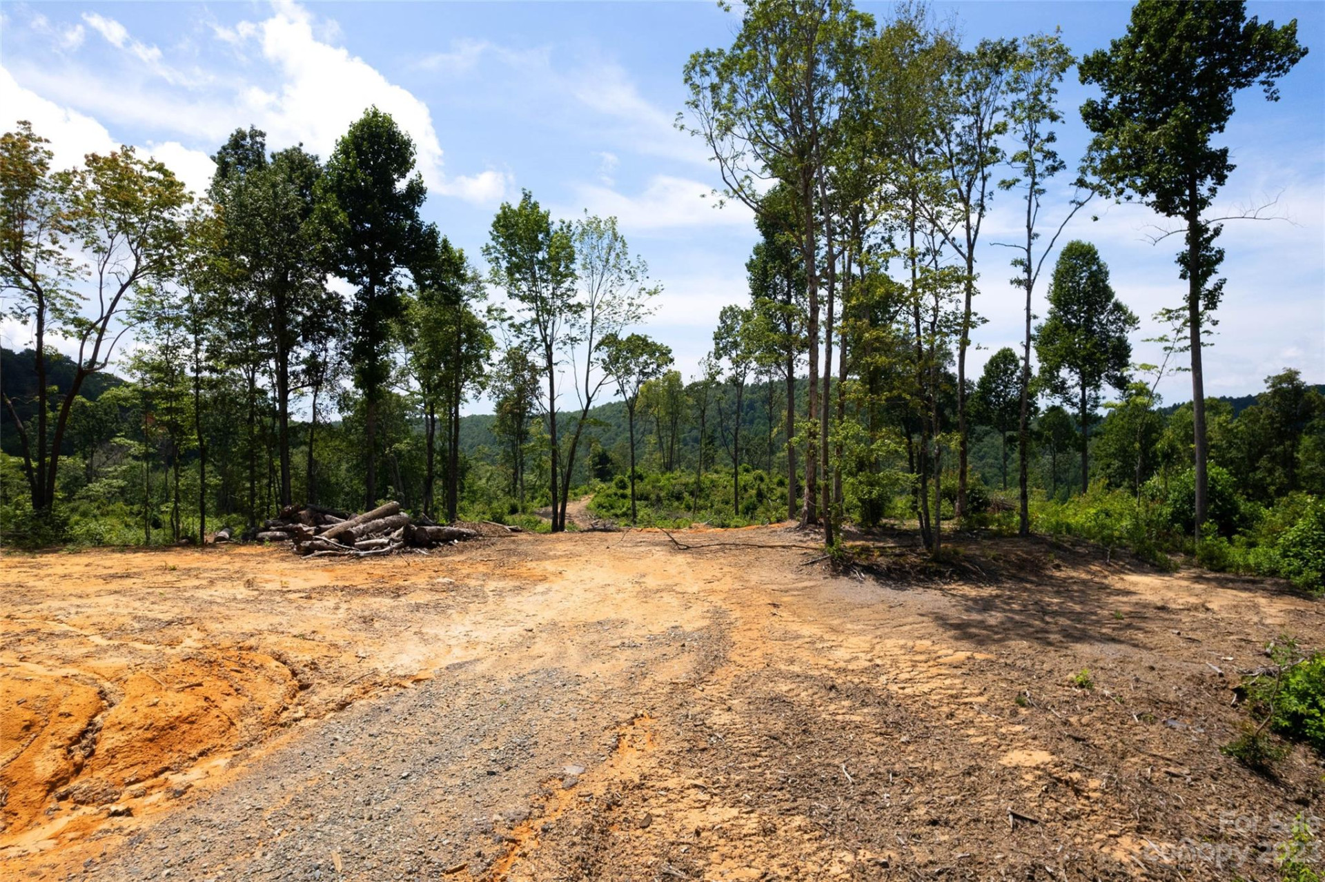 TBD Nancy Mountain Road - Photo 25