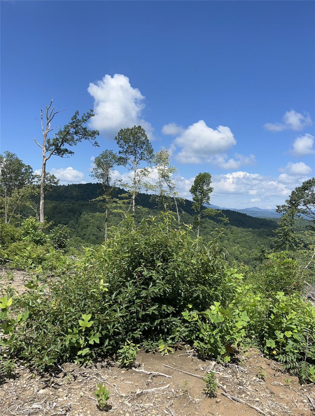 TBD Nancy Mountain Road - Photo 41