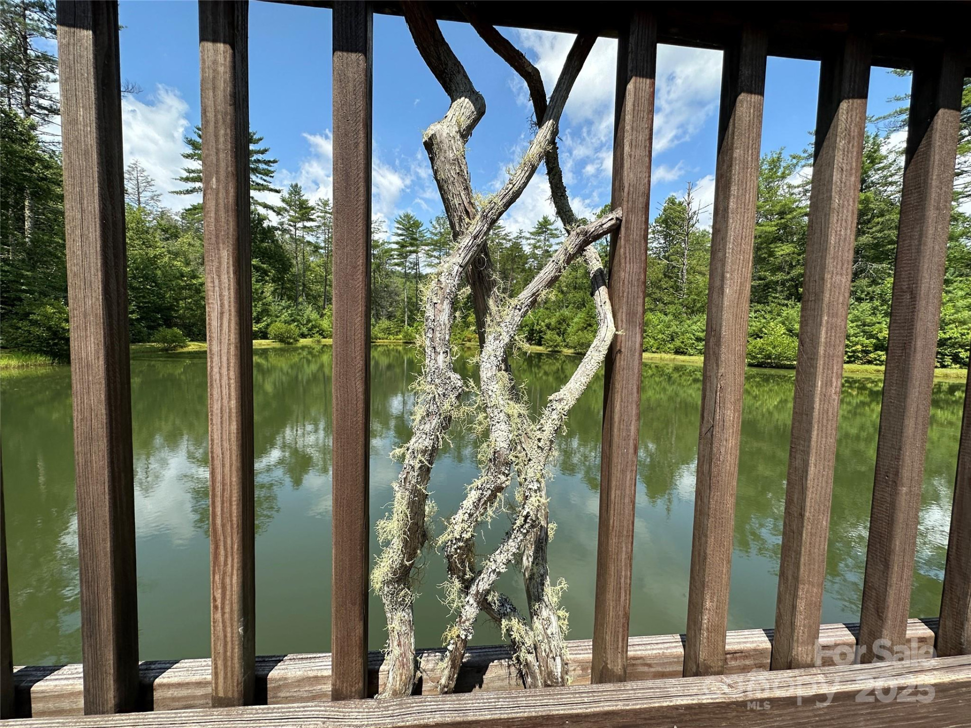 43 Abby Falls Drive #43 - Photo 12