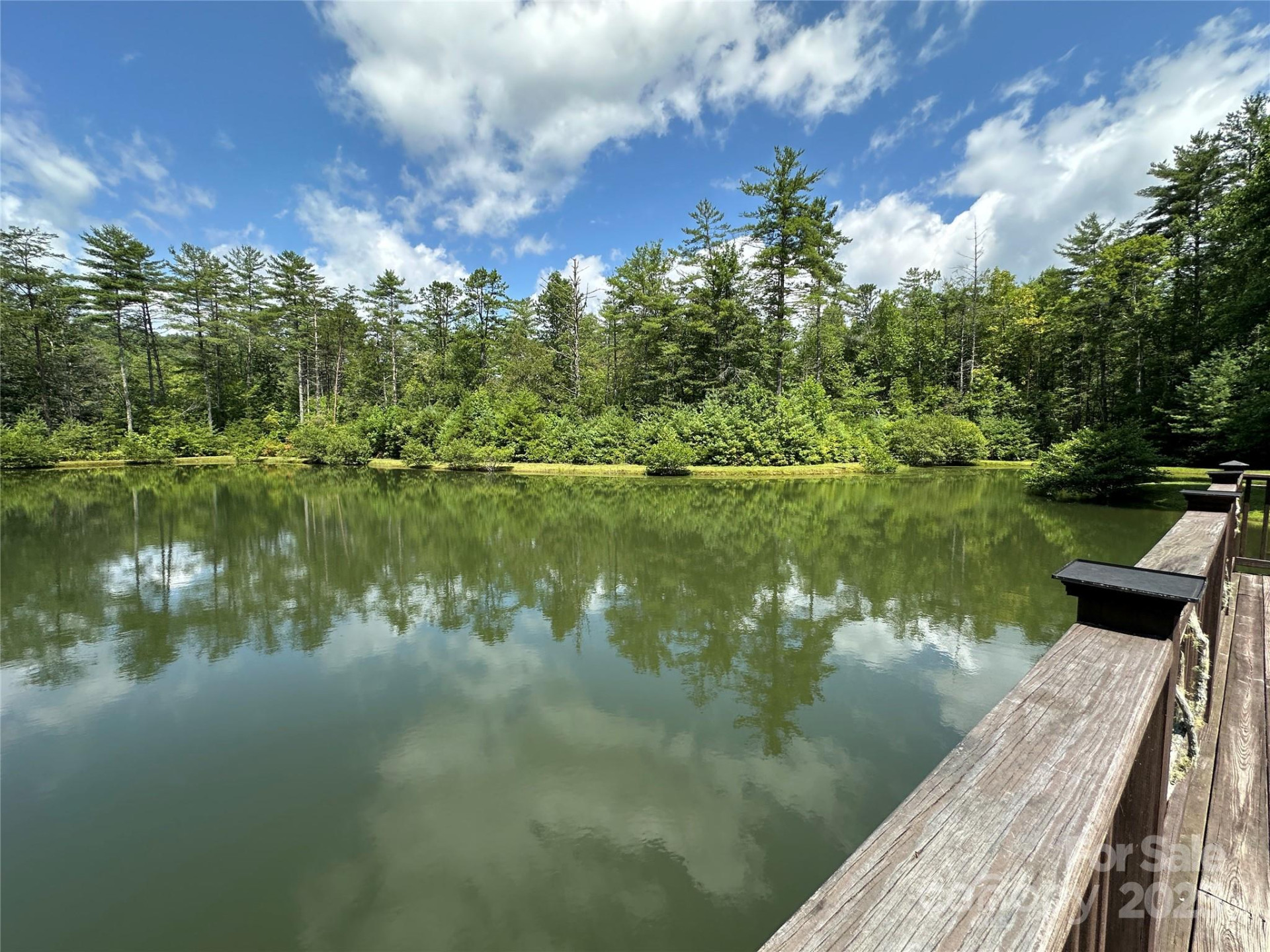 43 Abby Falls Drive #43 - Photo 13