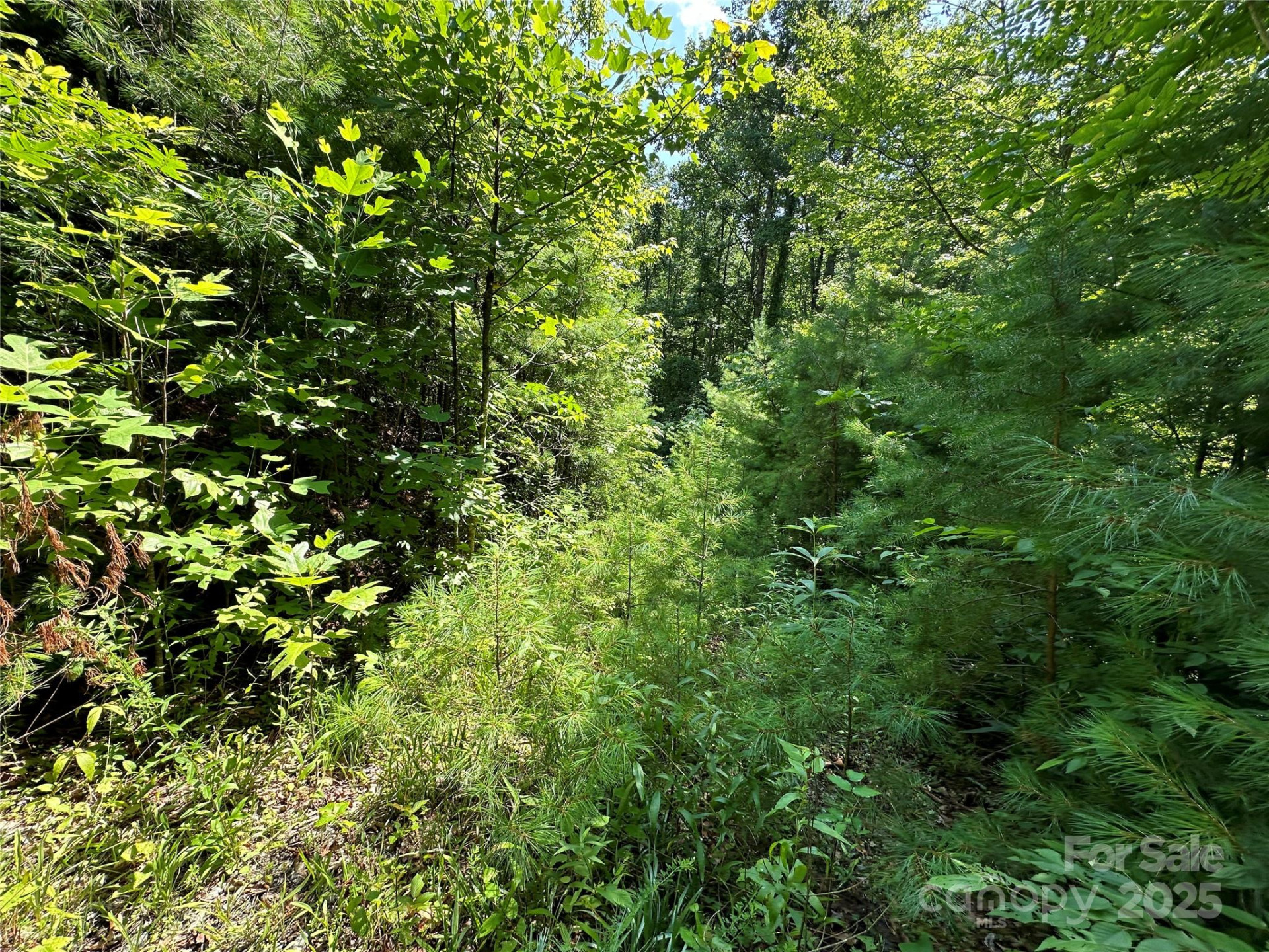 43 Abby Falls Drive #43 - Photo 15