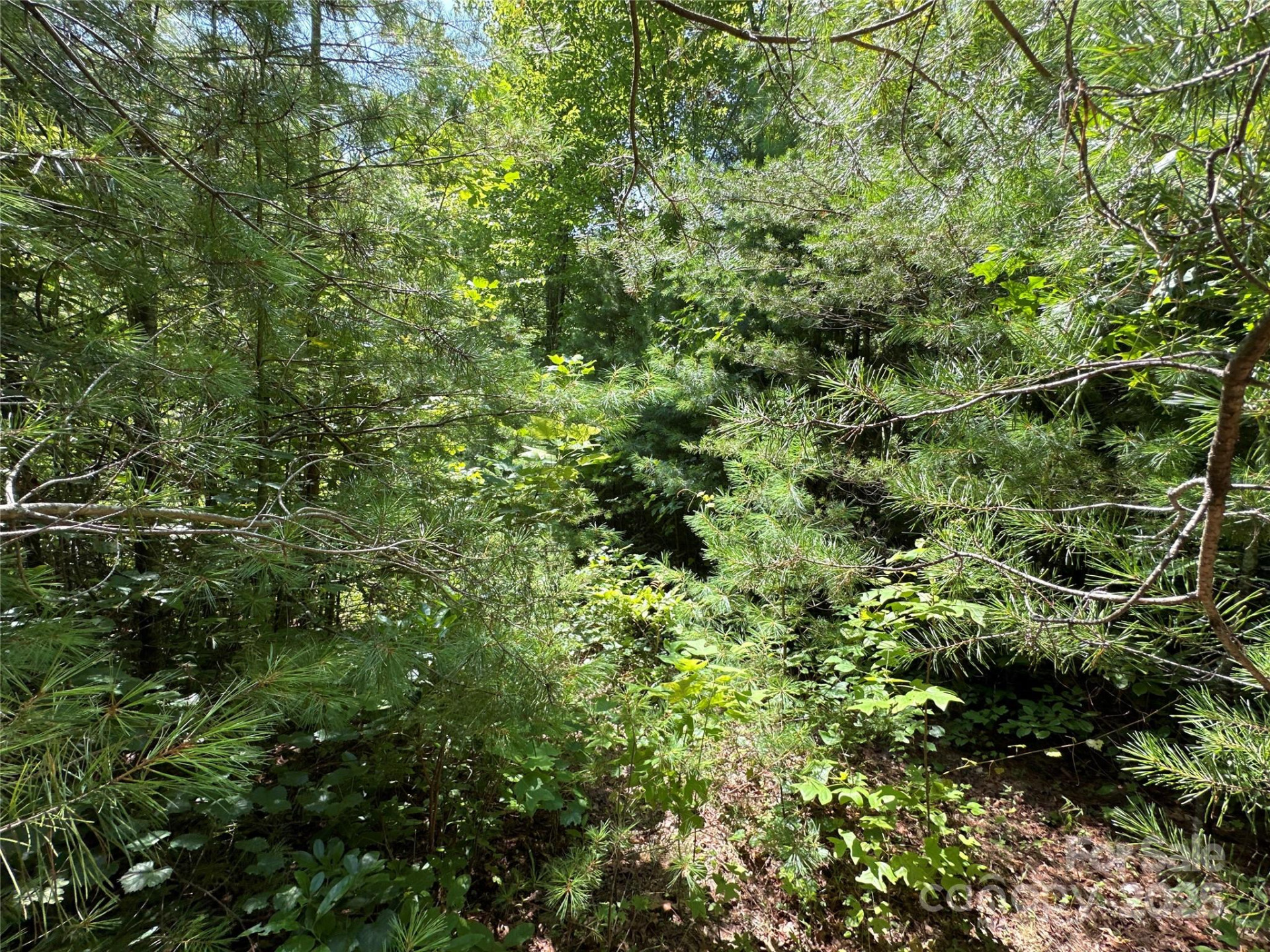 43 Abby Falls Drive #43 - Photo 16