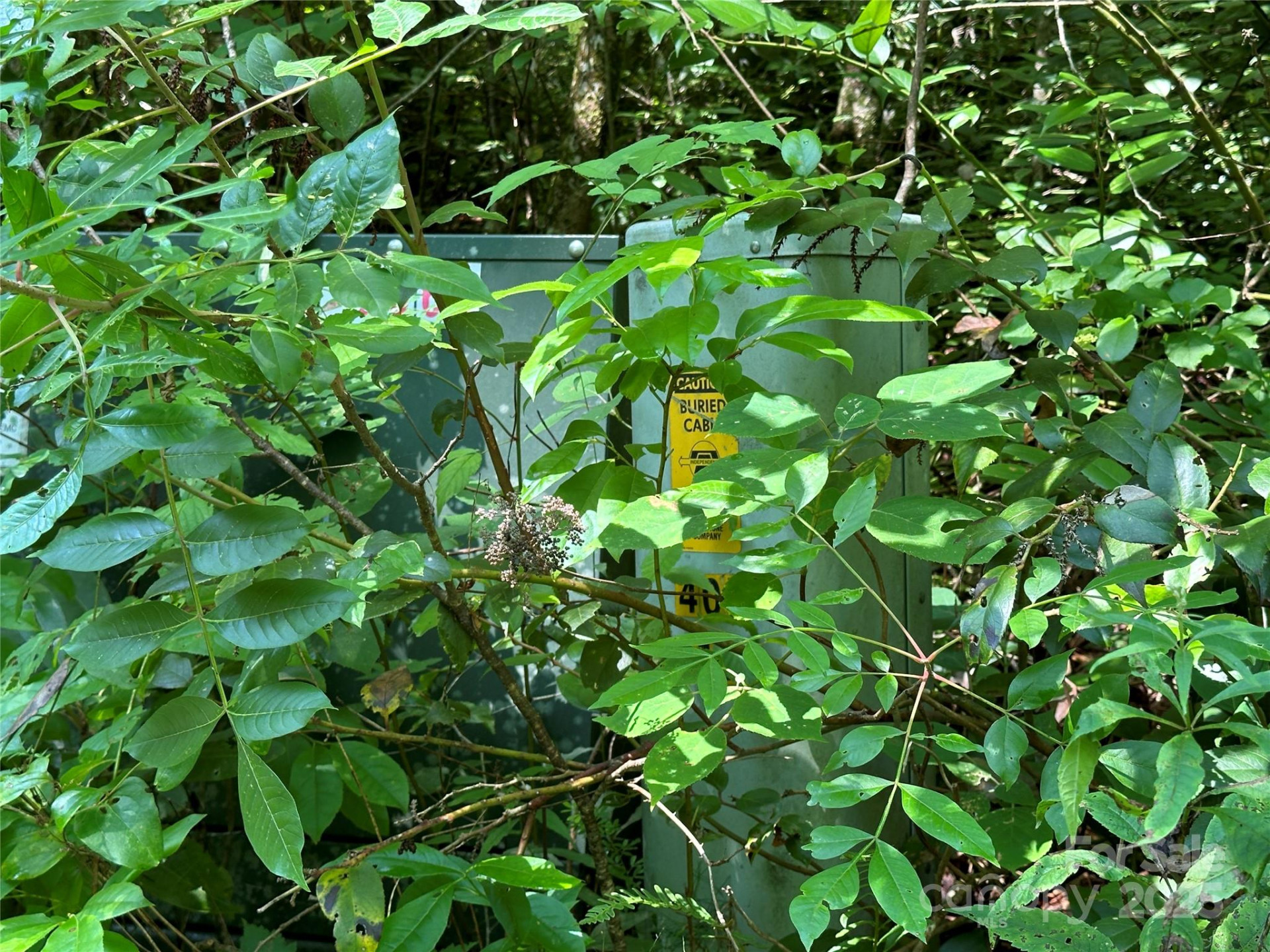 43 Abby Falls Drive #43 - Photo 17